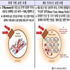 트러스트,제로