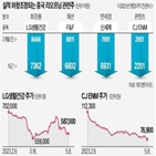 중국,한국,부진,기업,최근,수출