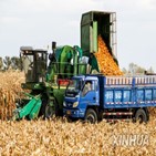 옥수수,중국,수입,브라질,미국,남아공,식량