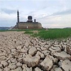 폭염,가뭄,올해,중국,전력,작년,지역