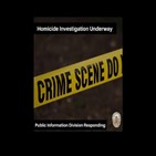 경찰,사건,생일