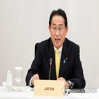 나토,기시다,총리,정상회의,일본