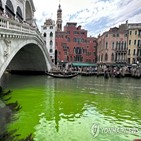 베네치아,녹색,조사,운하