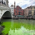 베네치아,녹색,운하,시위