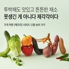 컬리,채소