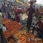 물가,인도,상승률,식품
