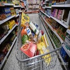 영국,소비자,비만,정부