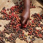 케냐,협정,보장,농산물