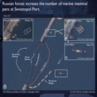 러시아,국방정보국,항구,흑해함대,훈련