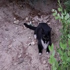 돌봄,가이드라인