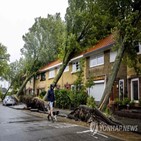 네덜란드,독일,폭풍,이날,암스테르담,마비,나무