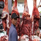 탄저균,쇠고기,인도네시아