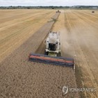 흑해곡물협정,우크라이나,식량,러시아,수출,농산물,협정,곡물,가격