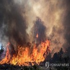 산불,그리스,화재,기지,다른