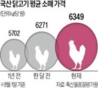 닭고기,수입,가격,육계,적용,영향,상승