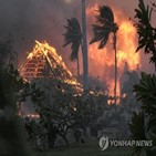 산불,사망자,하와이,최악,수색,피해,지역