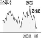 코스피지수,장중,추가