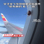 바퀴벌레,창문,항공기,중국