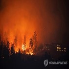 캐나다,뉴스,메타,산불,공급,페이스북