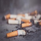 니코틴,이상,담배,흡연