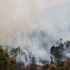 그리스,산불,화재,발생