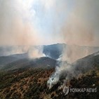 산불,그리스,동북부,최대,발생,항공기,면적