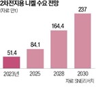 고려아연,니켈,현대차그룹,사업,현대차,공동,생산