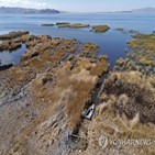 호수,티티카카,수위,볼리비아,지역