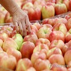 사과,도매가격,생산량