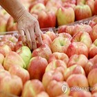 과일,사과,도매가격,생산량