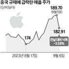 중국,애플,아이폰,사용,금지,조치