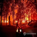 호주,산불,기온,위험