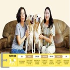 해리,안내견,은퇴,파트너,퍼피워킹,시각장애인,주변