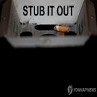 담배,흡연,검토,판매,뉴질랜드