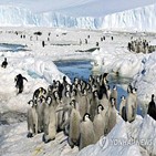 남극,기온,보고서,작년,이상고온,공기,바람