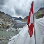 빙하,스위스,관측,보고서