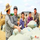 북한,식량,작황,올해,보도,농장