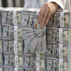 달러,환율,상승