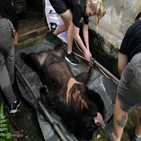 야생동물,베트남,수입