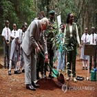 케냐,나무,그루,대통령,심기,150억