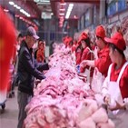 중국,돼지고기,돼지,소비,작년,하락세,깃값,시장