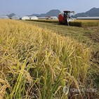쌀값,농협