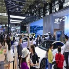 중국,전기차,모델,브랜드,판매