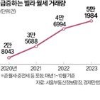 빌라,월세,거래량