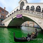 베네치아,시위,녹색,대운하