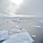 북극,연구진,변화,연어