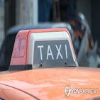 택시,쏘나타,국내,중국