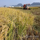 쌀값,올해,수확기
