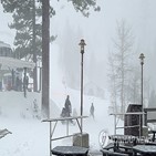 리조트,눈사태,스키,지역,보안관실