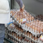 계란,가격,미국산
